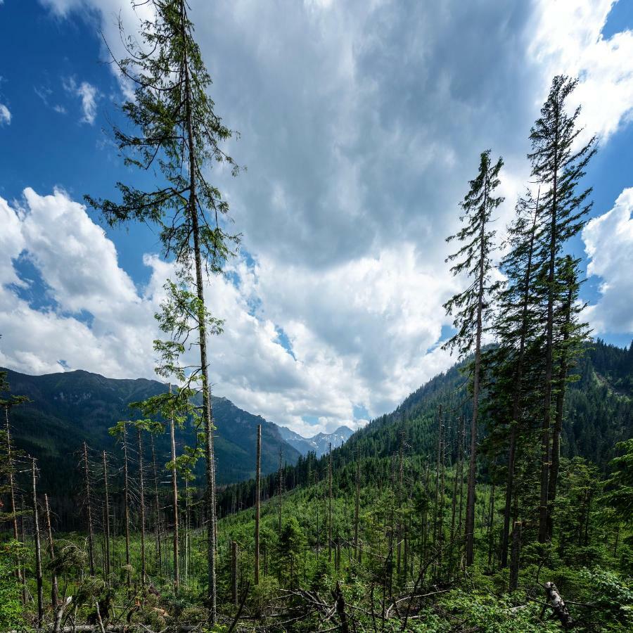 Smrek Martina Apr.C.57 Strbske Pleso Exterior foto